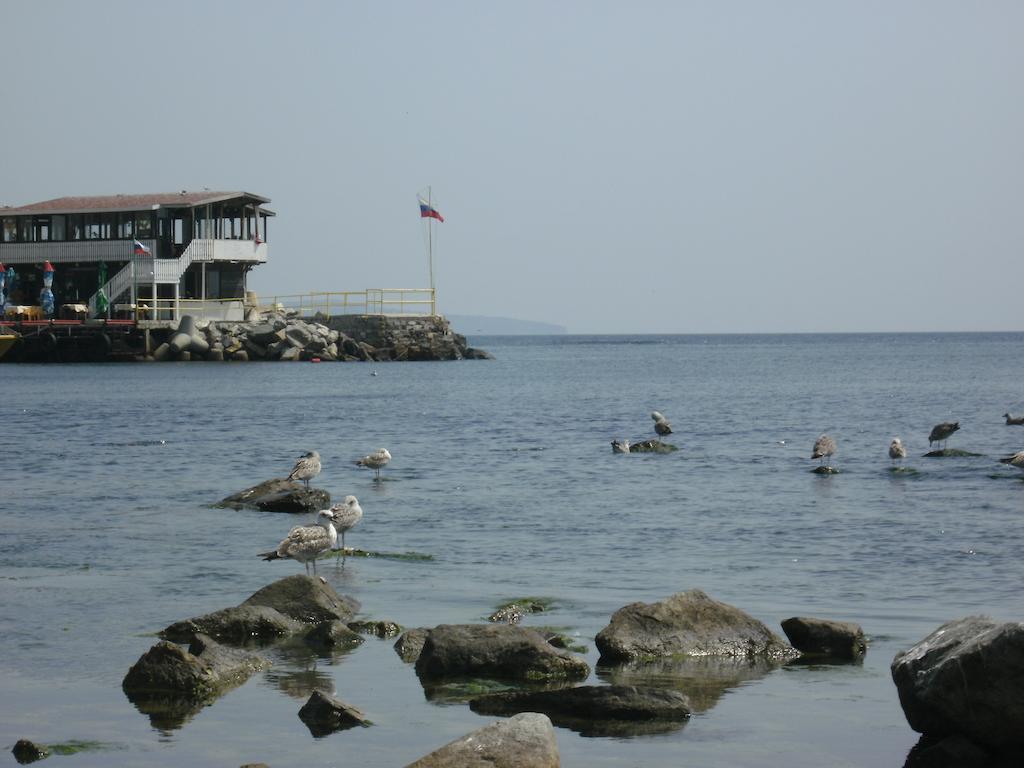 Emona Guest House Nesebar Rum bild
